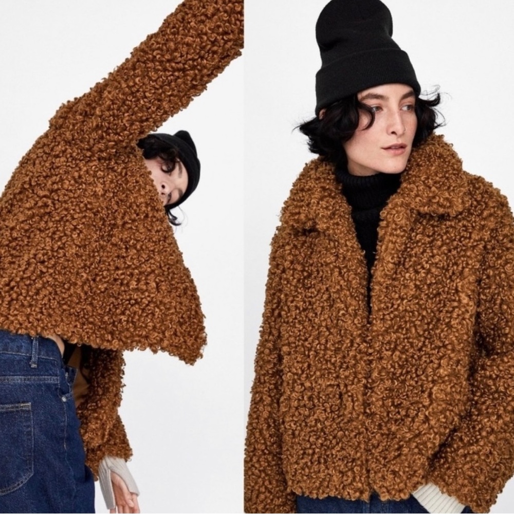 Zara Brown Curly/Shearling Jacket